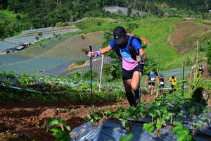 BIB: 
                            <button type="button" onclick="openModal(13381750)" class="btn btn-primary btn-sm float-right btn-popup" data-toggle="modal" data-target=".modal-high-quality">
                        <i class="fas fa-shopping-cart"></i> Add to Cart
                    </button>
                                            <button type="button" onclick="isThisMe(13381750, true)" class="btn btn-success btn-sm float-right btn-popup btn-isme hidden" data-toggle="tooltip" data-placement="bottom" title="นี่คือรูปของคุณใช่ไหม คลิกที่นี่เพื่อเอาเข้าอัลบั้ม">
                        <i class="fas fa-plus"></i> Add to album
                    </button>
                    <button type="button" onclick="isThisMe(13381750, false)" class="btn btn-warning btn-sm float-right btn-popup btn-isnotme hidden">
                        <i class="fas fa-ban"></i> Remove from album
                    </button>